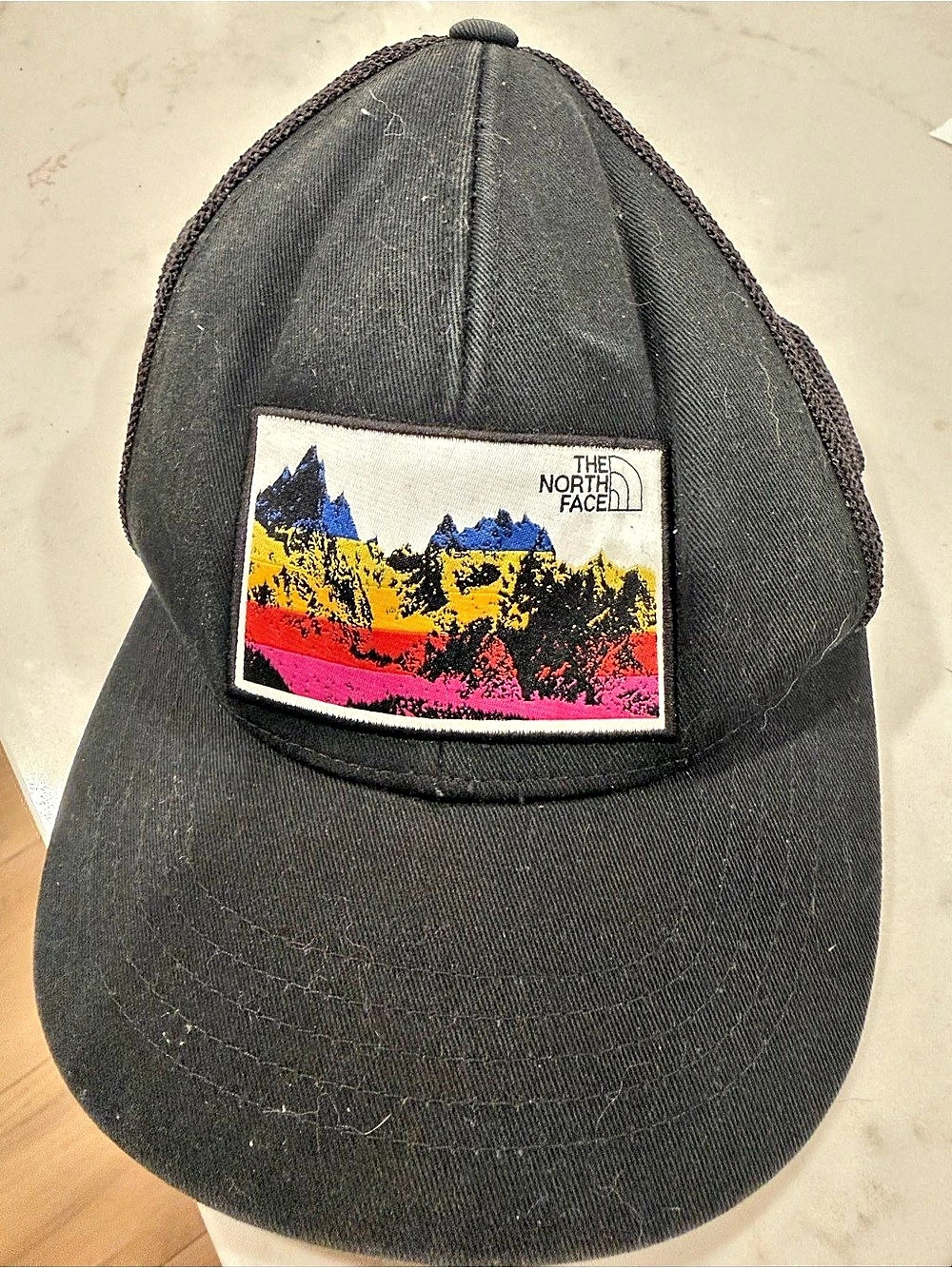 The North Face Mountain Patch Trucker Hat in Black